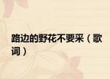 路边的野花不要采（歌词）