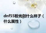 dnf55粉光剑什么样子（什么属性）