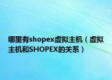 哪里有shopex虚拟主机（虚拟主机和SHOPEX的关系）