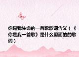 你是我生命的一首歌歌词含义（《你是我一首歌》是什么里面的的歌词）