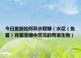 今日更新如何养水螳螂（水花（鱼苗）育苗池塘中常见的有害生物）