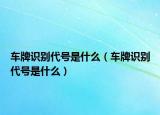 车牌识别代号是什么（车牌识别代号是什么）