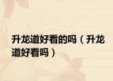 升龙道好看的吗（升龙道好看吗）