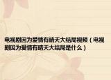 电视剧因为爱情有晴天大结局视频（电视剧因为爱情有晴天大结局是什么）