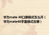 华为mate 40口袋模式怎么开（华为mate40手套模式在哪）