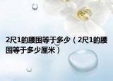 2尺1的腰围等于多少（2尺1的腰围等于多少厘米）