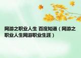 网游之职业人生 百度知道（网游之职业人生网游职业生涯）