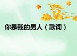 你是我的男人（歌词）