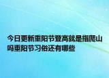 今日更新重阳节登高就是指爬山吗重阳节习俗还有哪些