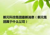 新元科技集团最新消息（新元集团属于什么公司）