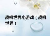 战机世界小游戏（战机世界）