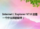 Internet（Explorer V7.0 这是一个什么样的软件）