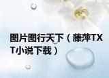 图片图行天下（藤萍TXT小说下载）