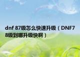 dnf 87级怎么快速升级（DNF78级到哪升级快啊）