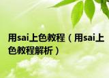 用sai上色教程（用sai上色教程解析）