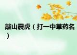 敲山震虎（打一中草药名）