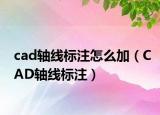 cad轴线标注怎么加（CAD轴线标注）