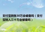 支付宝转账30万会被查吗（支付宝转入三十万会被查吗）