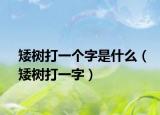 矮树打一个字是什么（矮树打一字）