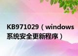 KB971029（windows系统安全更新程序）