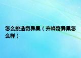 怎么挑选奇异果（齐峰奇异果怎么样）