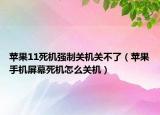 苹果11死机强制关机关不了（苹果手机屏幕死机怎么关机）