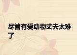尽管有爱动物丈夫太难了