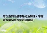 怎么查网址是不是钓鱼网址（怎样查询网站是否是钓鱼网站）