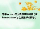 苹果xs max怎么设置呼叫转移（iPhoneXs Max怎么设置呼叫转移）