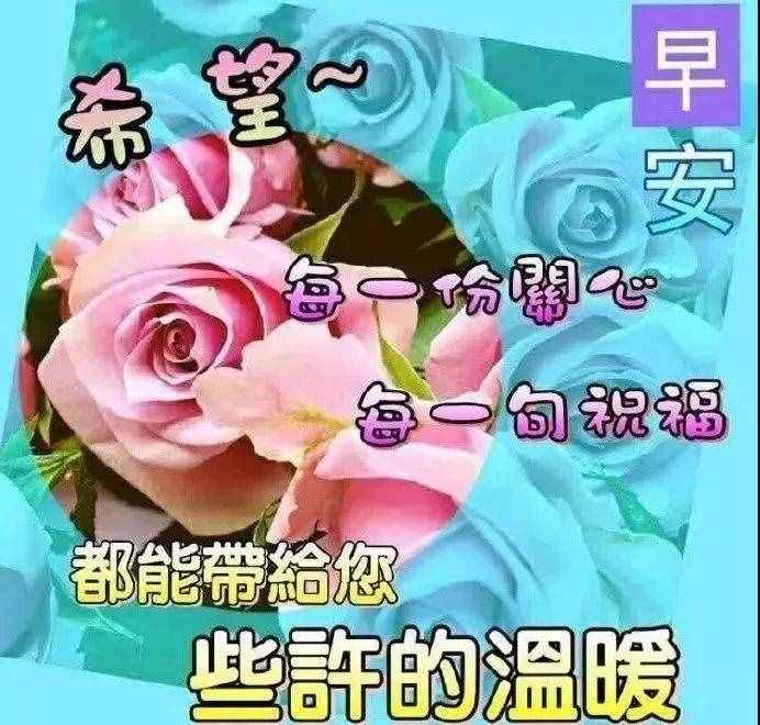 青春，经不起挥霍；感情，经不起等待，早安
