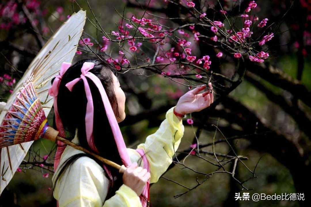 邵康节和《梅花诗》，预测后世2000年的发展，哪些事发生了？