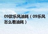 09款乐风油耗（09乐风怎么看油耗）