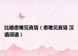 比喻患难见真情（患难见真情 汉语词语）