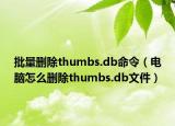 批量删除thumbs.db命令（电脑怎么删除thumbs.db文件）