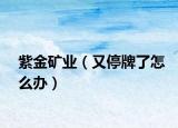 紫金矿业（又停牌了怎么办）