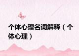 个体心理名词解释（个体心理）