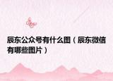 辰东公众号有什么图（辰东微信有哪些图片）