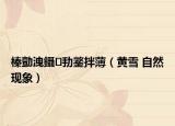 榛勯洩鑷劧鐜拌薄（黄雪 自然现象）