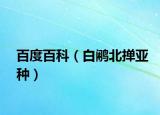 百度百科（白鹇北掸亚种）