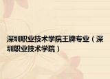 深圳职业技术学院王牌专业（深圳职业技术学院）