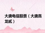 大唐电信股票（大唐真龙贰）