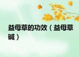 益母草的功效（益母草碱）