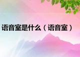 语音室是什么（语音室）