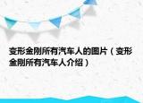 变形金刚所有汽车人的图片（变形金刚所有汽车人介绍）