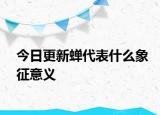 今日更新蝉代表什么象征意义