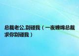 总裁老公,别碰我（一夜缠绵总裁求你别碰我）