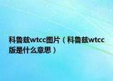科鲁兹wtcc图片（科鲁兹wtcc版是什么意思）