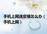 手机上网速度慢怎么办（手机上网）