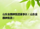 山东金麒麟集团董事长（山东金麒麟集团）