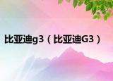 比亚迪g3（比亚迪G3）